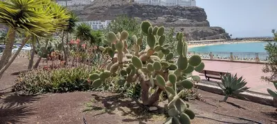Paisaje cerca de este apartamento
