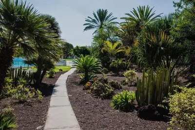 Jardín al aire libre en Rocas Rojas