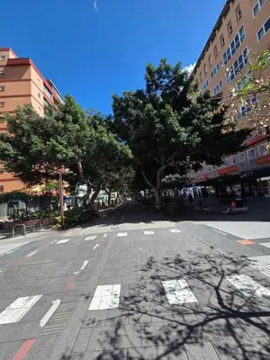 El barrio de los alrededores o un barrio cerca de este apartamento