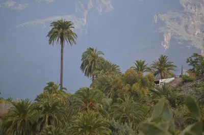 Paisaje cerca of this country house