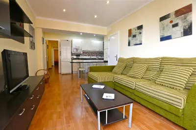 Una televisión o centro de entretenimiento en Apartment Vasco de Gama
