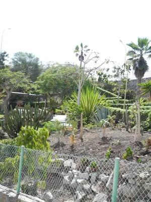 Jardín al aire libre en Apartamentos Los Mocanes