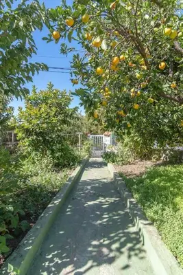 Jardín al aire libre en La Casita de Coco Tejeda