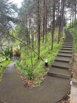 Jardín al aire libre en Finca El Lance Zumacal