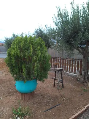 Jardín al aire libre en Casita Leos