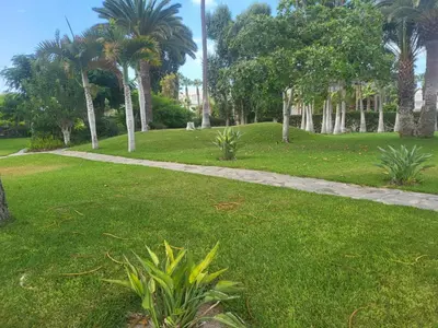 Jardín al aire libre en Villa maravillosa 2