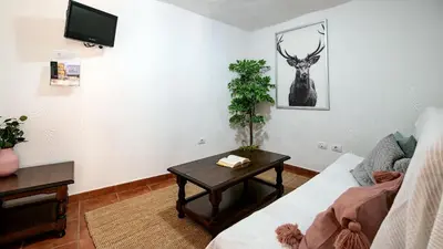 Una televisión o centro de entretenimiento en Casas rurales de Guayadeque