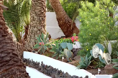 Jardín al aire libre en Cortijo San Ignacio