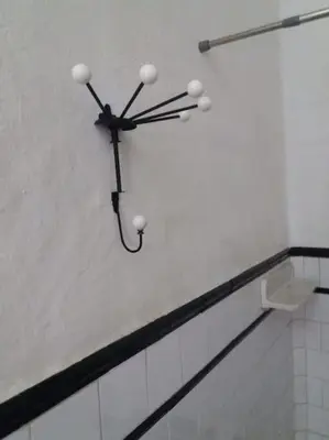 Un baño de Guaires