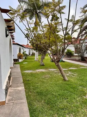 Jardín al aire libre en Newly listed and renovated Bungalow in Parque Golf Maspalomas