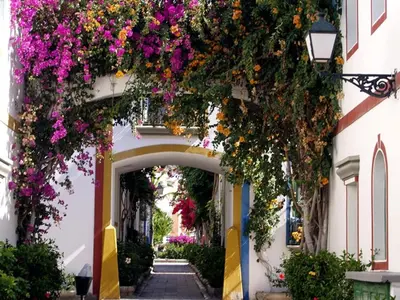 El barrio de los alrededores o un barrio cerca de este apartamento