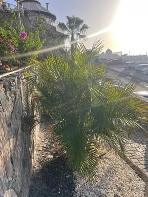 Paisaje cerca de este apartamento