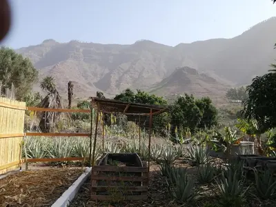 Plano de Ruhiges Apartment auf Öko Finca Mogan No3