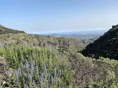 Paisaje cerca de este apartamento