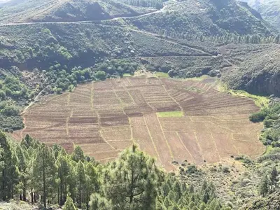 Paisaje cerca de este apartamento