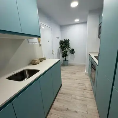 Oasis 29