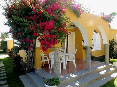 Jardín al aire libre en HANDICAP 7 Bungalow 4
