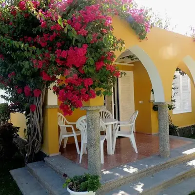 HANDICAP 7 Bungalow 4