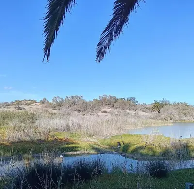 Paisaje cerca de este apartamento