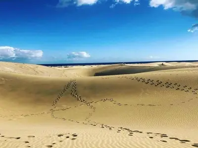 Paisaje cerca de este apartamento