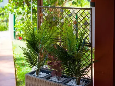 Jardín al aire libre en Bungalow in Maspalomas near Golf Course