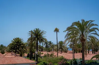 Paisaje cerca de este apartamento
