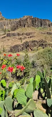 Paisaje cerca de este apartamento