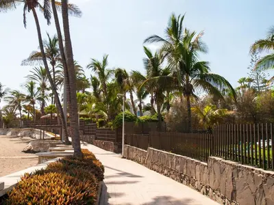 Jardín al aire libre en MIAMI 06 by Villagrancanaria