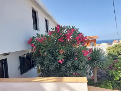 Edificio en el que se encuentra el apartamento