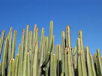 Plano de Vista Golf 5 by Villagrancanaria