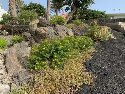 Jardín al aire libre en Casa Lelos