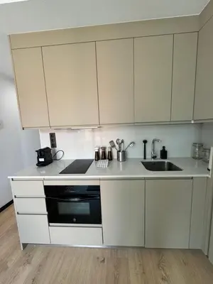 Una cocina o zona de cocina en Oasis Pavia 15