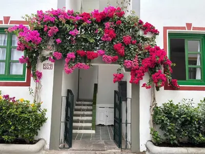 Jardín al aire libre en Relax Mogán vivienda vacacional