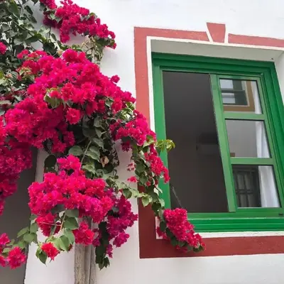 Relax Mogán vivienda vacacional