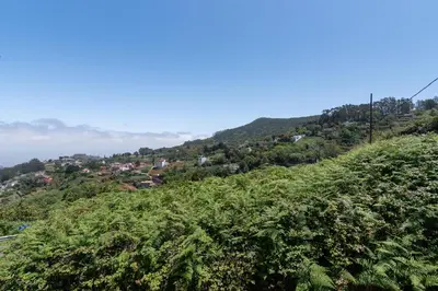 Paisaje cerca de esta casa o chalet