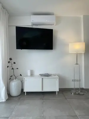 Una televisión o centro de entretenimiento en Apartment Palm Tree View