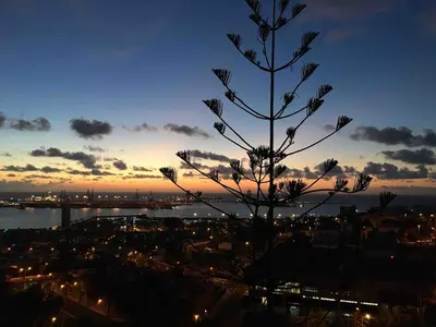 Paisaje cerca de este apartamento