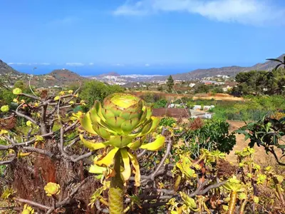 Paisaje cerca de este bed & breakfast