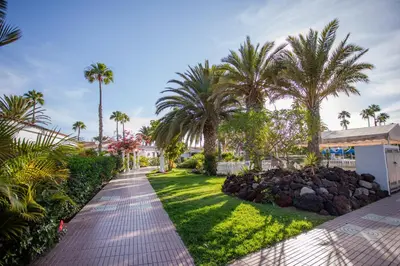 Jardín al aire libre en Bungalow Vegas Golf