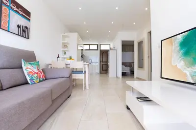 Una televisión o centro de entretenimiento en Luxury Los Cactus