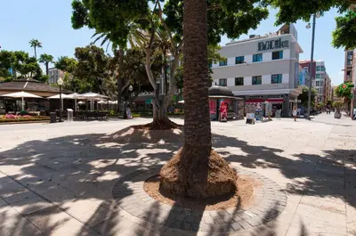 El barrio de los alrededores o un barrio cerca de este apartamento