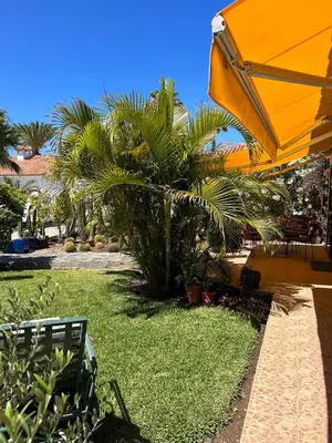 Jardín al aire libre en SunClub 255