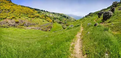 Paisaje cerca de esta casa o chalet