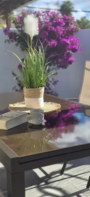 Plano de Casa Volk