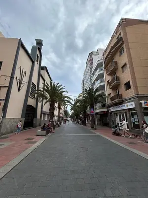 El barrio de los alrededores o un barrio cerca de este apartamento