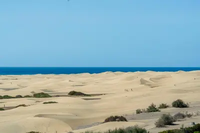 Paisaje cerca de este apartamento
