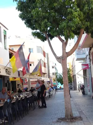 El barrio de los alrededores o un barrio cerca de este apartamento