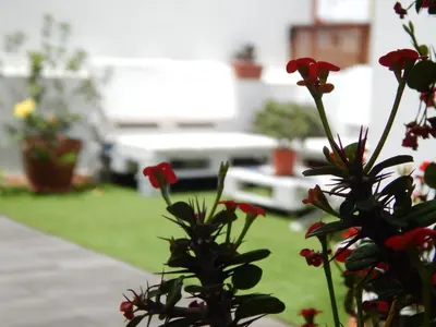 Jardín al aire libre en Twenty Seven Degrees Las Palmas