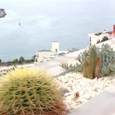 Terrasol con Cactus Monsenor