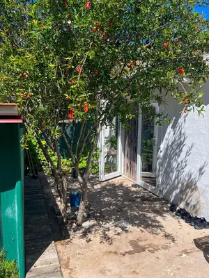 Plano de Eco Finca Mogan, Hostel and Apartment